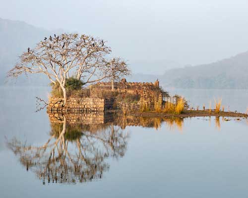 Ranthambore Padam Talao